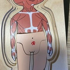 知育　ボーネルンド 女の子の体パズル 木のおもちゃの画像