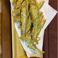 琵琶湖で最高鮮度のワカサギを取りましょう！ - 大津市
