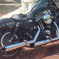 ｽﾎﾟｰﾂｽﾀｰ883 マフラーの画像