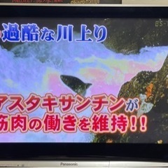 パナソニック　ビエラ　プラズマテレビ　TH-42PZ800 42インチの画像