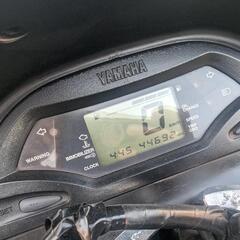 今月中 マジェスティ125Fiの画像