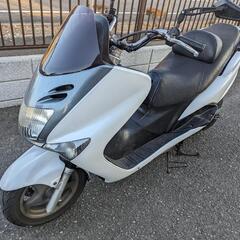 今月中 マジェスティ125Fi