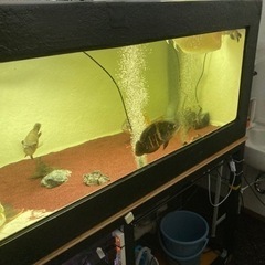 180水槽セット