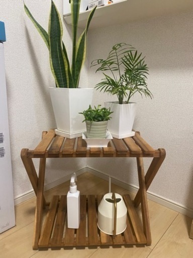 木製折りたたみラック+観葉植物x3