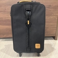 ミッキーのキャリーバッグ