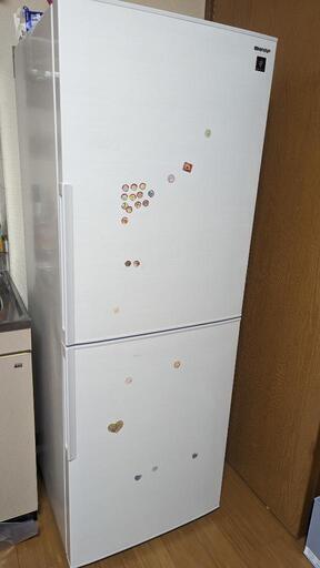 SHARP冷蔵庫 ※中の写真追加しました(4.5枚目)