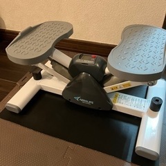 【決まりました】エアロライフ　サイドステッパー