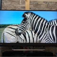 美品　4kテレビ　東芝レグザ　40インチの画像