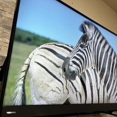 美品　4kテレビ　東芝レグザ　40インチの画像