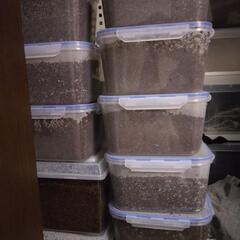 国産外国産カブト幼虫飼育マット lashレギュラーマット　5L 複数購入可の画像