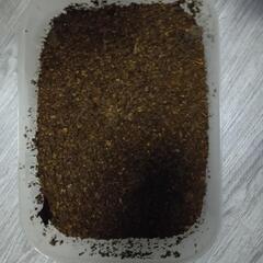 国産外国産カブト幼虫飼育マット lashレギュラーマット　5L ...