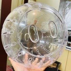 ハムスター ランナボールの画像