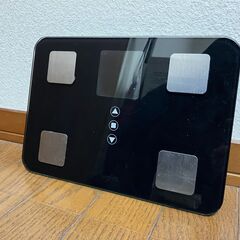 管K-76【愛知県一宮市から】【年末年始もお渡しできます！】プロ...