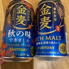 金麦350ml 48本
