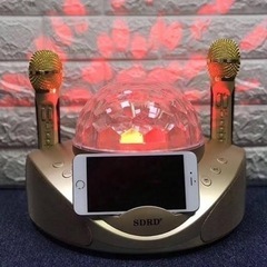 SDRD　SD-308　Bluetooth カラオケマイク　ワイ...