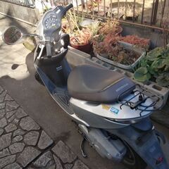 ホンダ Dioの画像