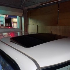 ncp31  bB  交換可の画像
