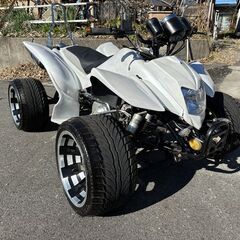 フルサイズバギー
