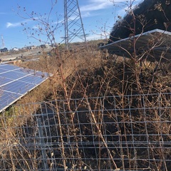 3月末迄限定　草刈り格安でします　料金聞いてビックリ‼️太陽光発...