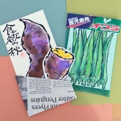 ポップ&クラフト絵手紙教室の画像