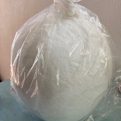 白い達磨✴︎レア品　中の画像