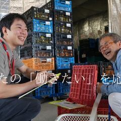 紀の川市｜仕分け・出荷スタッフ（農産物）／駐車場完備★交通費支給◎週２日～OK！ の画像
