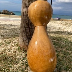 イプヘケ 53cm ハワイ直輸入