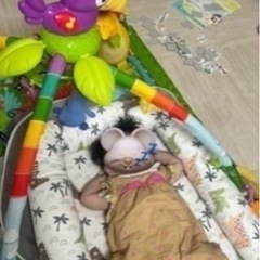 【取引終了】フィッシャープライス ベビージムの画像