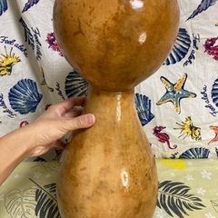 イプヘケ高さ約50センチ 楽天市場】【送料無料】すぐに送れるイプヘケ◇50cm 50センチ