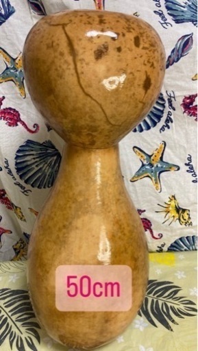 50cm イプヘケ　ハワイ直輸入　新品