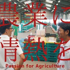 狭山市｜仕分け・出荷スタッフ（農産物）／駐車場完備★交通費支給◎週２日～OK！ の画像