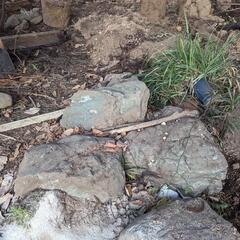 大きめの庭石もらってくださいの画像