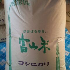 令和6年度産　新米コシヒカリ30キロ