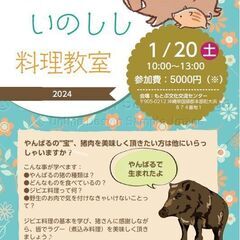 1月20日（土）10時～13時＠本部　ジビエ・やんばるいのしし料理教室