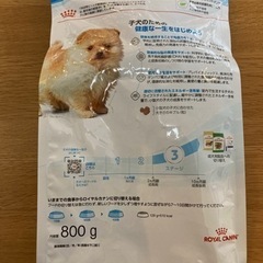 【新品未開封】ロイヤルカナン　ミニインドアパピー　800g ドッグフードの画像