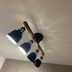 今月まで！ブラックシーリングライトの画像