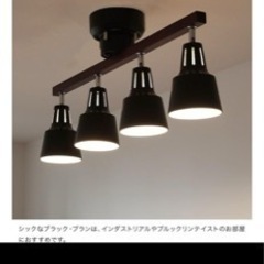今月まで！ブラックシーリングライト