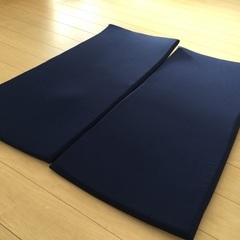 トゥルースリーパー　ごろ寝マット　ミニトゥルースリーパー　2枚