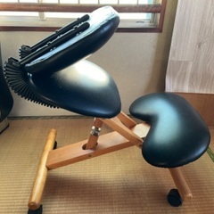 (取引者決定)バランスチェアの画像