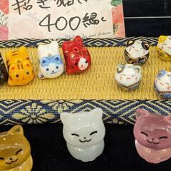 視覚障害者団体【お好みーズ】視覚障害の子供や保護猫のチャリティーイベント🎪 - その他