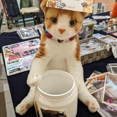 視覚障害者団体【お好みーズ】視覚障害の子供や保護猫のチャリティーイベント🎪 − 広島県