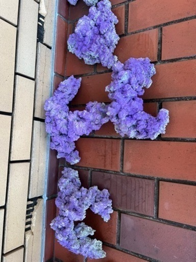 人工ライブロック　19.5㎏