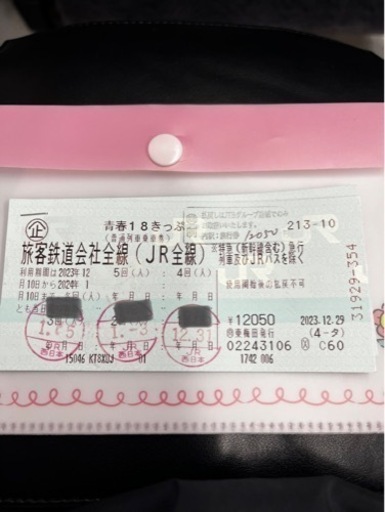 青春18きっぷ 青春18きっぷ 2回分 送料無料 2回分