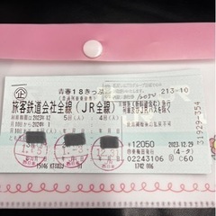 青春18きっぷ　2回分　即渡し可能