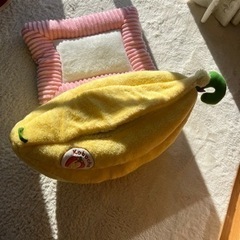 猫の寝床の画像