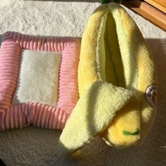 猫の寝床の画像