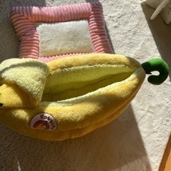 猫の寝床の画像