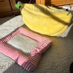 猫の寝床の画像