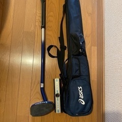 グランドゴルフ　ゲートボール　ゴルフ
