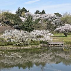 〔A/P〕【未経験OK！４月勤務開始】三ツ池公園／園内作業スタッ...